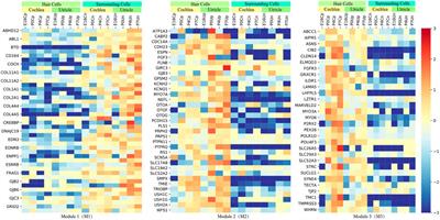 Gene4HL: An Integrated Genetic Database for Hearing Loss